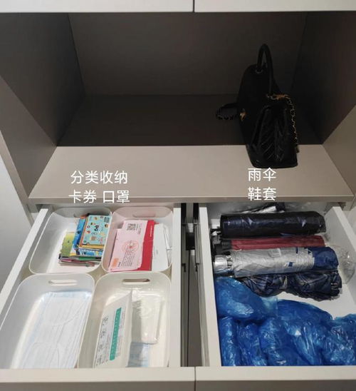 從消殺用品亂象到收納有序，我家再也不東翻西找